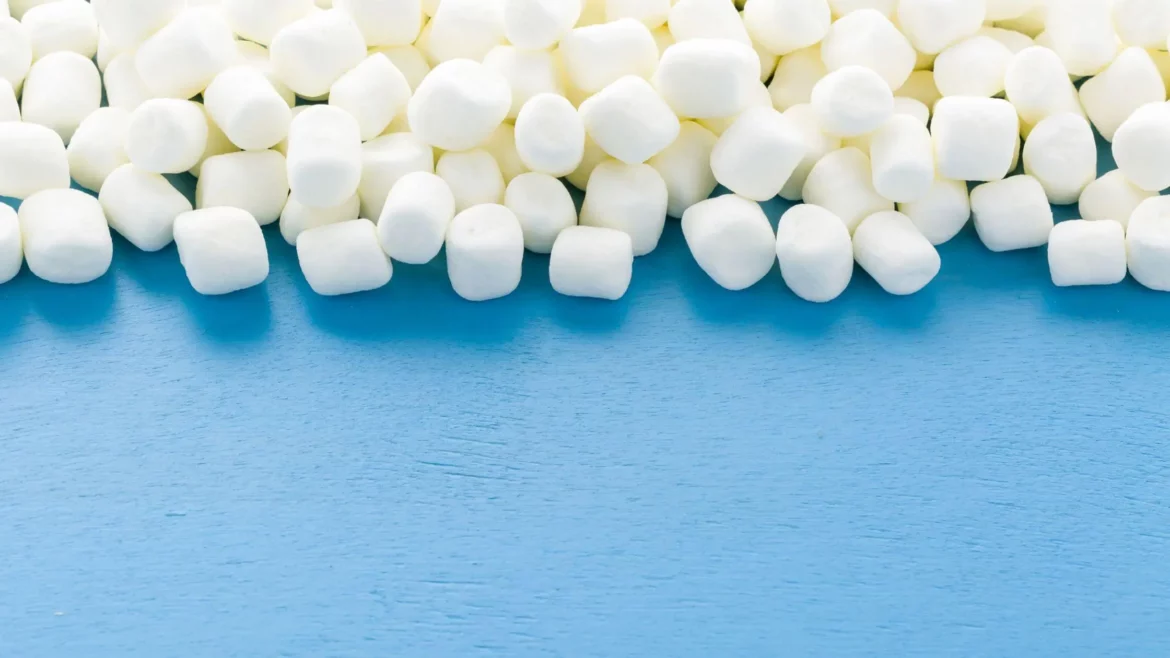 Marshmallow-Test: Warten führt zu Erfolg