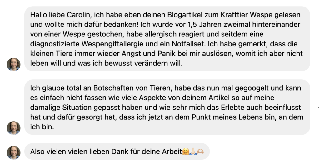 Testimonial Krafttierreise