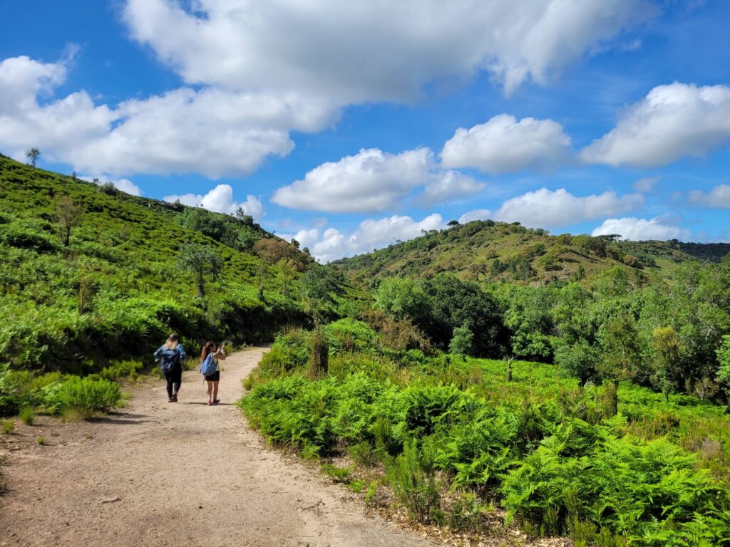 Transformations-Reise nach Portugal mit Locals