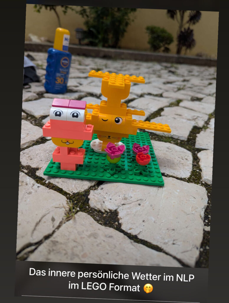 feedback nlp ausbildung