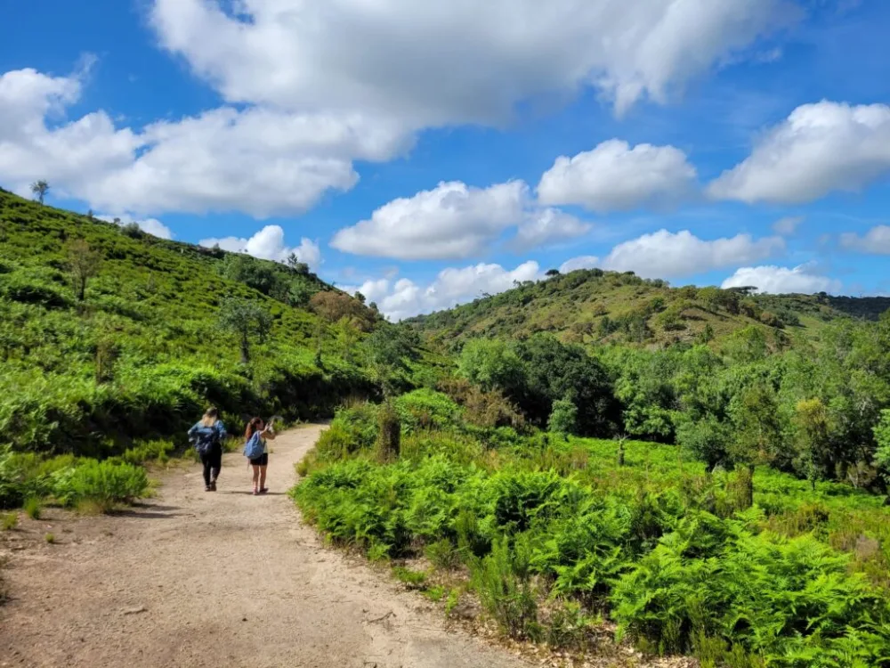 Naturpark Tapada de Mafra in Portugal