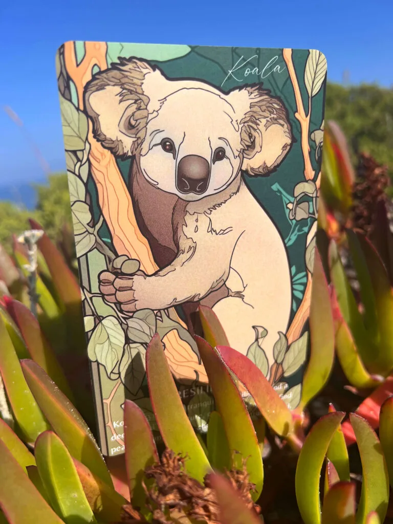 Orakelkarte Koala – Krafttier für Gelassenheit