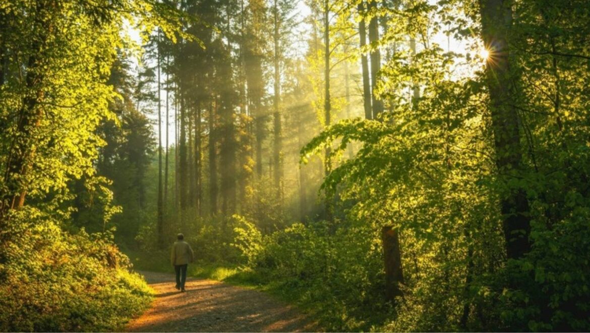 7 schamanische Praktiken gegen Stress